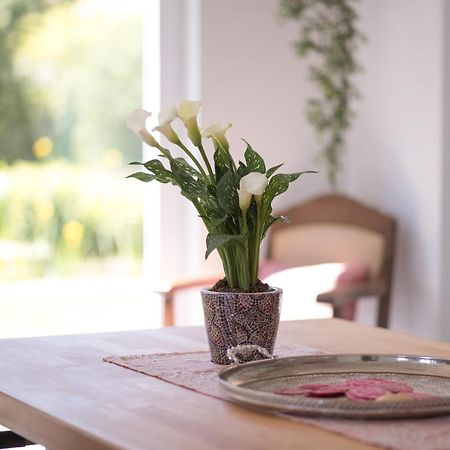Ferienwohnung Schwalbennest Weinsheim  外观 照片