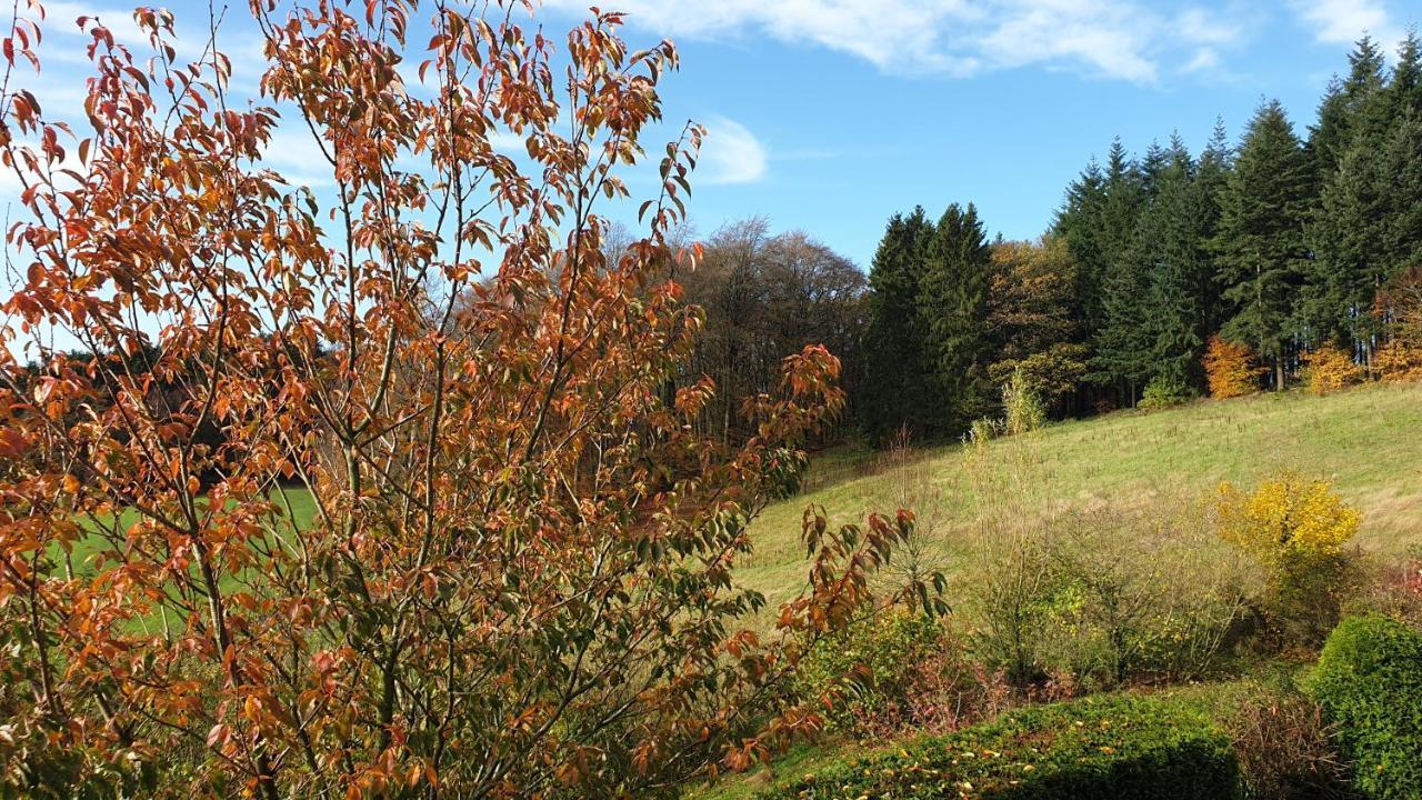 Ferienwohnung Schwalbennest Weinsheim  外观 照片