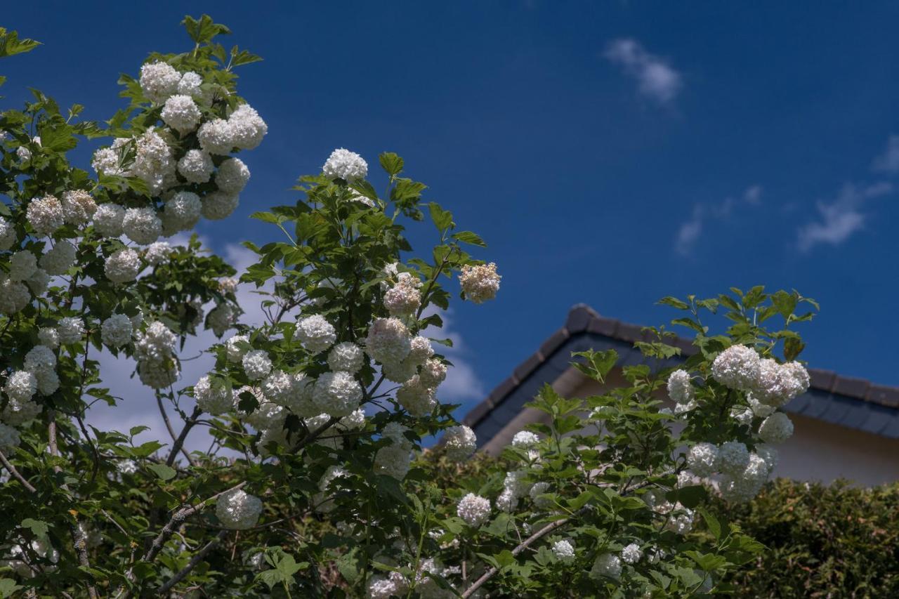 Ferienwohnung Schwalbennest Weinsheim  外观 照片